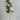 Le Fleur Clematis Spray Cream 34" - Silk