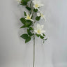Le Fleur Clematis Spray Cream 34" - Silk