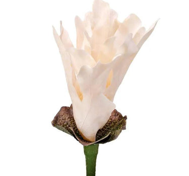 Regency Coastal Staghorn Fern Stem Ivory 14" - Artificial Non-Flowering Plants Silk