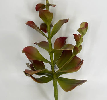 Select Coastal Succulent Pick Coral/Green 15" - Uncategorized Silk