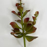 Select Coastal Succulent Pick Coral/Green 15" - Uncategorized Silk