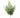 Direct Export Cyclosorus Bush Green 36" - Uncategorized Silk