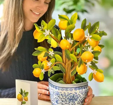 FreshCut Paper LLC Lemon Blossom Tree Pop-Up Greeting Card - Greeting Cards Merchandise