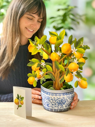 Lemon Blossom Tree Pop-Up Greeting Card