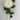 Le Fleur Dahlia Spray Cream 29" - Artificial Flowering Plants Silk