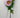 AmBest Dahlia Stem Lavender 25" - Artificial Flowering Plants Silk
