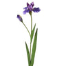 Regency Dutch Iris + Bud Spray Violet 28" - Artificial Flowering Plants Silk