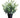 Allstate Eucalyptus in Plastic Pot 24" - Artificial Shrubs Silk