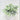 Supreme Eucalyptus with Pot 10" - Artificial Non-Flowering Plants Silk