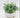 Supreme Eucalyptus with Pot 9" - Artificial Non-Flowering Plants Silk