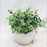 Supreme Eucalyptus with Pot 9" - Artificial Non-Flowering Plants Silk