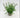 Supreme Fat Sedum with Pot 11" - Potted Houseplants Silk