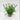 Supreme Fat Sedum with Pot 11" - Potted Houseplants Silk