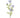 Regency Field Yarrow Stem Blue 38" - Artificial Flowering Plants Silk