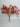Le Fleur Forsythia Bundle Orange 21" - Uncategorized Silk