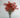 Le Fleur Forsythia Bundle Orange 21" - Uncategorized Silk