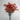 Le Fleur Forsythia Bundle Orange 21" - Uncategorized Silk