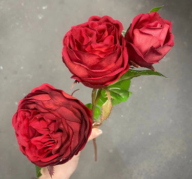 AmBest Fresh Touch Cabbage Rose Dark Red 21" - Uncategorized Silk