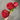 AmBest Fresh Touch Cabbage Rose Dark Red 21" - Uncategorized Silk
