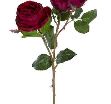 AmBest Fresh Touch Cabbage Rose Dark Red 21" - Uncategorized Silk