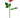 Fresh Touch Open Rose Stem Orange 25" - Evergreen Home and Floral