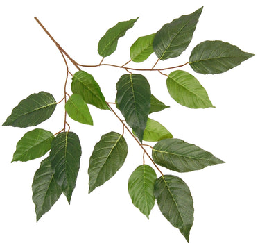 Greenhouse International Alder Spray 26" - Silk