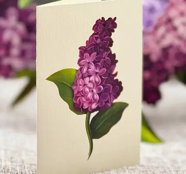 FreshCut Paper LLC Garden Lilacs Pop-Up Greeting Card - Greeting Cards Merchandise