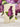 FreshCut Paper LLC Garden Lilacs Pop-Up Greeting Card - Greeting Cards Merchandise