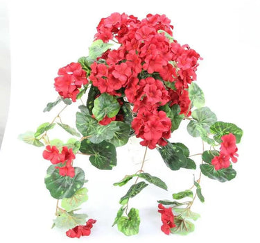 GSC Geranium Hanging Bush Red x12 - Uncategorized Silk