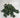 Le Fleur Geranium Leaves Hanging Bush Green - Artificial Non-Flowering Plants Silk