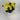 GSC Geranium Yellow Potted Plant - Artificial Flora Hanging Basket & Porch Pots