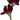 Select Gladiolus Spray Plum 34" - Artificial Flowering Plants Silk