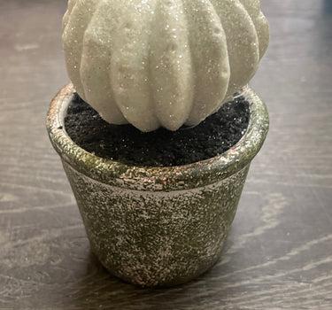 Glitter Cactus 4" - Evergreen Home and Floral