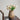 A&B Gold Aluminum Scalloped Vase 6.5"x 10.5" - Uncategorized Merchandise