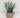 Supreme Grass w/ Pot 12" - Artificial Non-Flowering Plants Silk