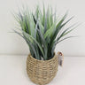 Supreme Grass w/ Pot 12" - Artificial Non-Flowering Plants Silk