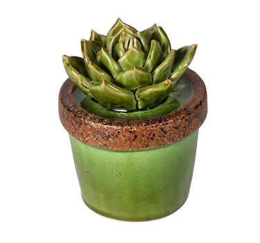 A&B Green Ceramic Succulent in Pot 4.5"D x 5.5"H - Uncategorized Merchandise
