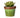 A&B Green Ceramic Succulent in Pot 4.5"D x 5.5"H - Uncategorized Merchandise