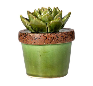A&B Green Ceramic Succulent in Pot 4.5"D x 5.5"H - Uncategorized Merchandise