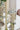 A&B Green-Gold Glass Floral Print Vase 5"D x 7" - Vases Merchandise