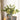 A&B Green-Gold Glass Floral Print Vase 5"D x 7" - Vases Merchandise