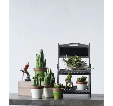 A&B Green-White Ceramic Succulent in Pot 4"D x 5"H - Figurines Merchandise
