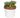 A&B Green-White Ceramic Succulent in Pot 4"D x 5"H - Figurines Merchandise