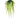 Allstate Hanging Sword Fern in Plastic Pot 25" - Artificial Non-Flowering Plants Silk