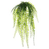 Allstate Hanging Sword Fern in Plastic Pot 25" - Artificial Non-Flowering Plants Silk