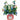 FreshCut Paper LLC Hummingbird Oasis Pop-Up Greeting Card - Greeting Cards Merchandise