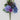 Golden Bell Hydrangea Cosmos Bush Purple-Blue 17" - Artificial Flowering Plants Silk