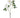 Allstate Camellia Spray Cream 25.5" - Uncategorized Silk