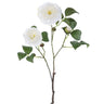 Allstate Camellia Spray Cream 25.5" - Uncategorized Silk