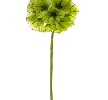 AmBest Scabiosa Ball Stem Light Green 22" - Artificial Flowering Plants Silk